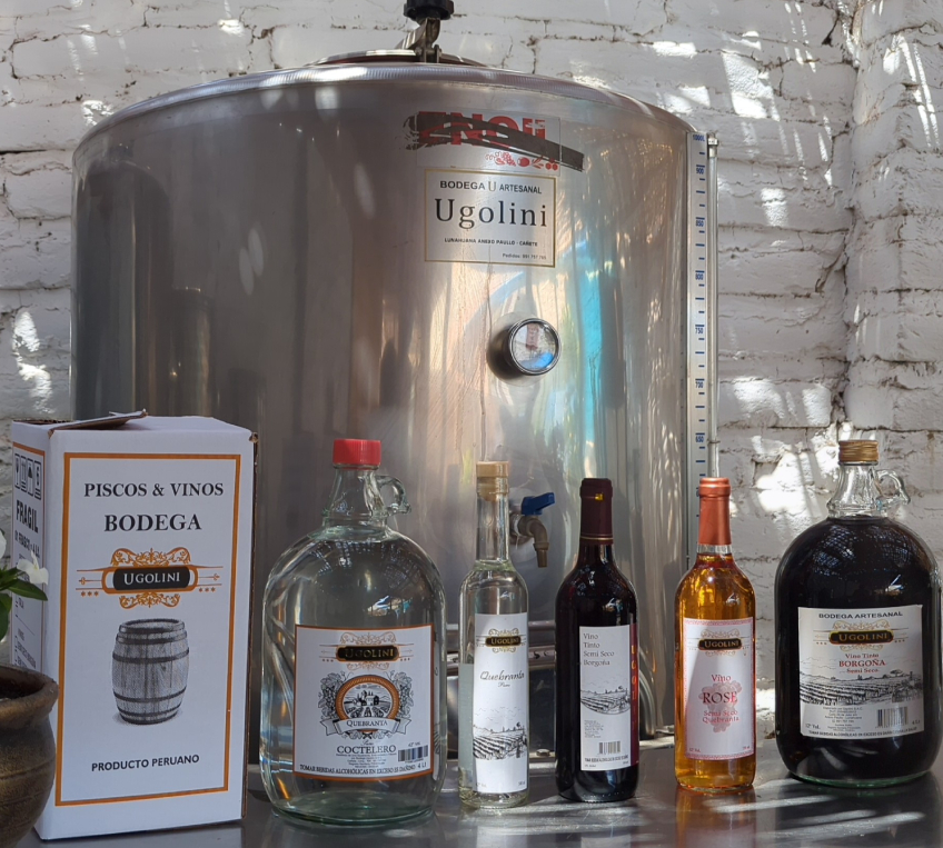 imagen de inicio piscos y vinos ugolini con decantador 12